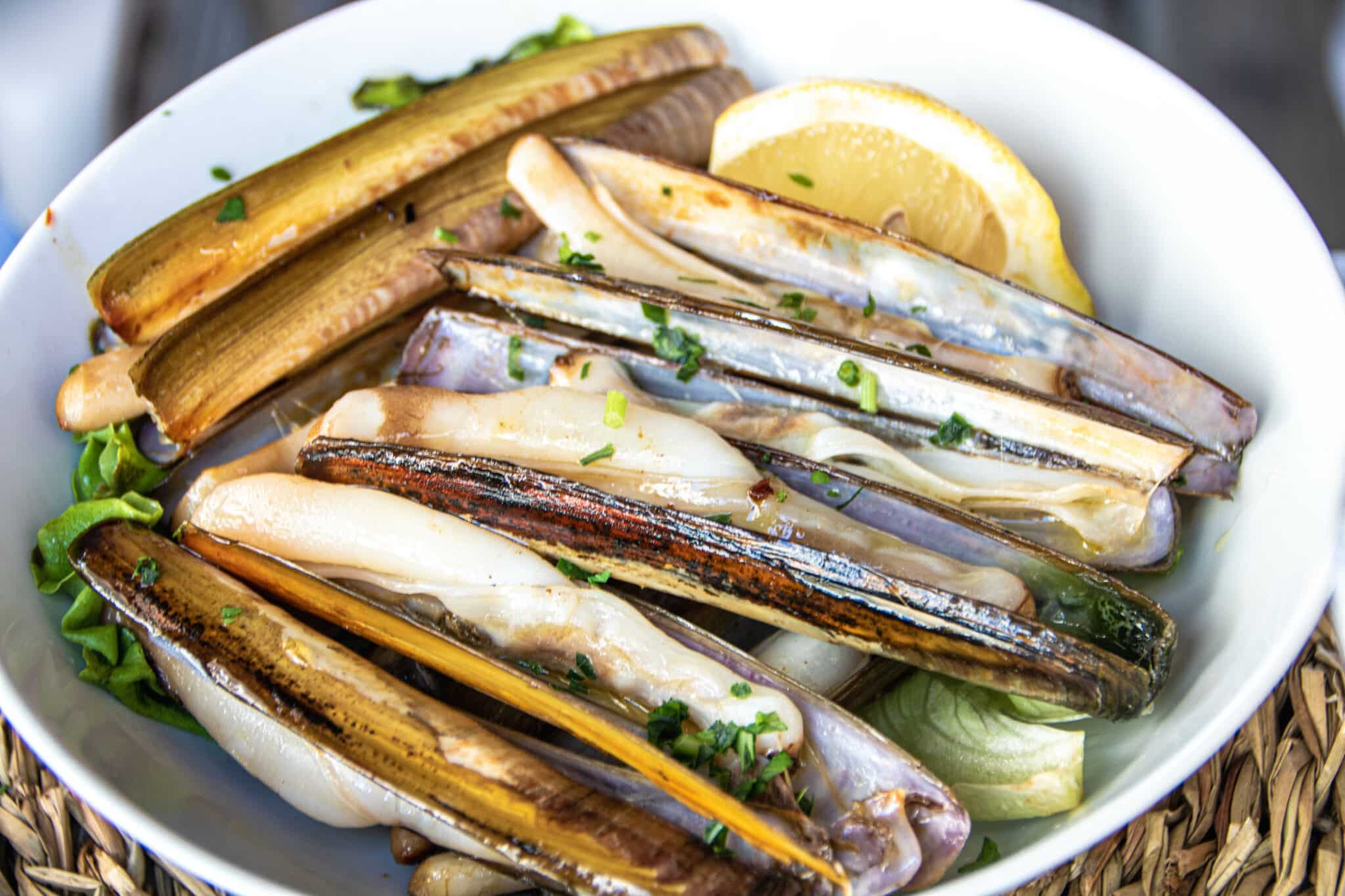 plate of grilled razor clams